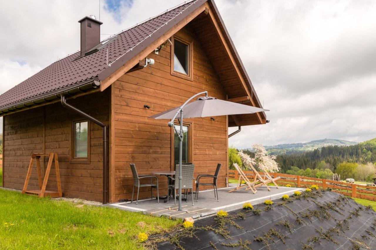 U Jana I Wita Villa Istebna Exterior foto